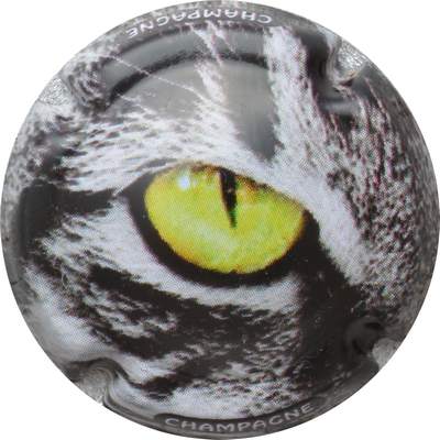 C70 Série de 6, polychrome 
Photo GOURAUD Jacques
