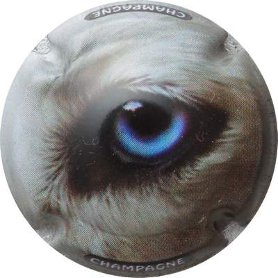 C70 Série de 6, polychrome 
Photo GOURAUD Jacques
