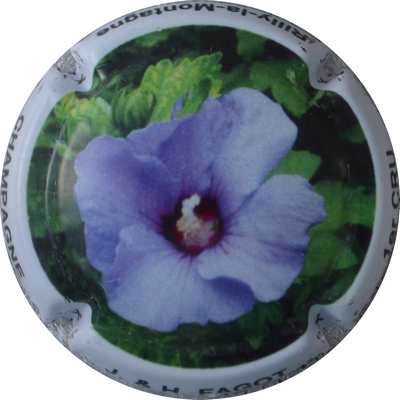 N°01a Bleuet
Photo Jacques GOURAUD
