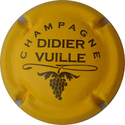 N°07b Série de 6 (grappe) jaune et noir
Photo GOURAUD Jacques
