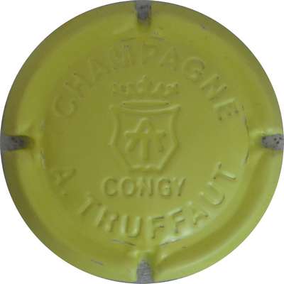 N°05zd Estampée, vert-jaune
Photo jacques GOURAUD
