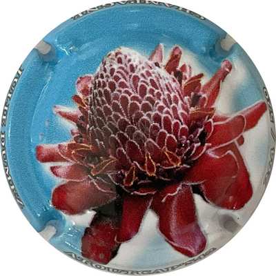 N°06 Rose de porcelaine, contour bleu
Photo Bruno HEBMANN GONTIER
