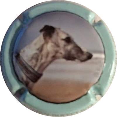 N°04 Série de 12 (Lévrier), N°06, contour bleu pâle, lennon au verso
Photo Christian GODART
