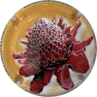 N°06c Rose de porcelaine, contour jaune
Photo Bruno HEBMANN GONTIER

