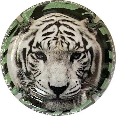 N°08 Série tigre, contour vert
Photo Bruno HEBMANN GONTIER
