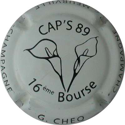 N°11 Cap's  89, 16ème bourse, crème pâle et noir
Photo Jacques GOURAUD
