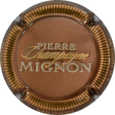N°100c Marron métallisé, striée or, champagne en or, Pierre Mignon en blanc
Photo GOURAUD Jacques
