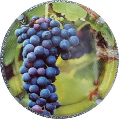 N°108 Grappe noire
Photo Christophe LELU
