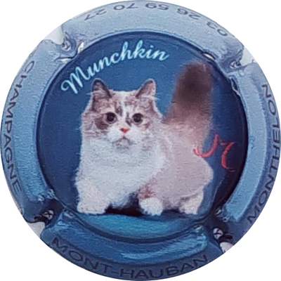 N°109f Chat muchkin
Photo Christophe LELU
