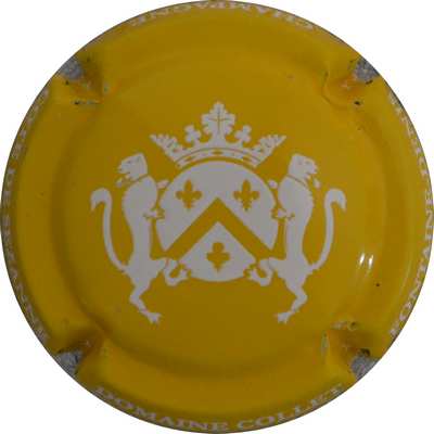 N°10b Jaune et blanc
Photo Jacques GOURAUD
