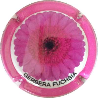 N°118a Gerbera Fuchsia
Photo Bruno HEBMANN GONTIER
