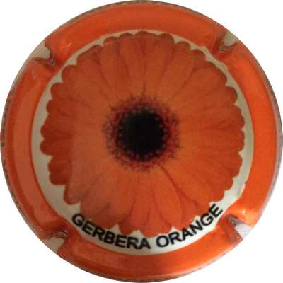 N°118b Gerbera Orange
Photo Bruno HEBMANN GONTIER
