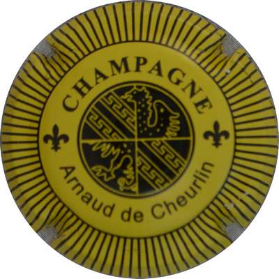 N°11k Jaune et noir
Photo Jacques GOURAUD
