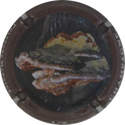 N°1342 Polypore marginé
Photo Jacques GOURAUD
