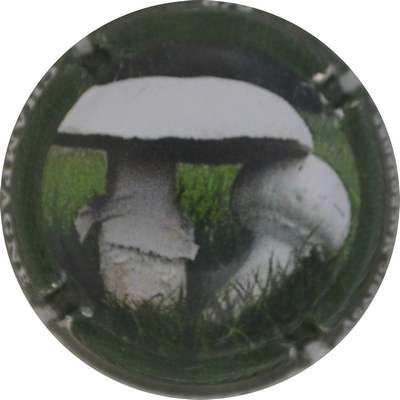 N°1342e Agaric Macrospore
Photo Jacques GOURAUD
