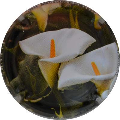 N°1381c 04 sur 06, Arum
Photo Jacques GOURAUD
