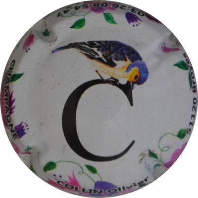 N°14 Puzzle Collin
Photo Jacques GOURAUD
