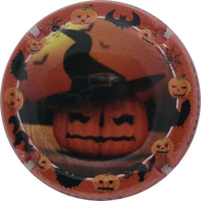 N°14a Série de 6 (Halloween)
Photo Joelle MENNORET
