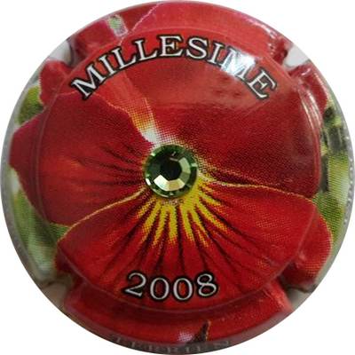 N°14x-NR Millésime 2008, avec strass
Photo Gaetan GRENET
Mots-clés: NR