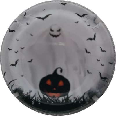 N°14a Série de 6 (Halloween)
Photo Joelle MENNORET
