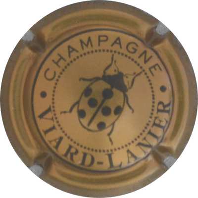 N°14g Or-bronze et noir
Photo Jacques GOURAUD
