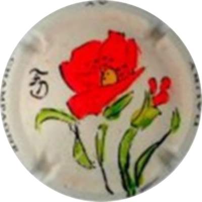 N°18 PALM
Photo Jean-Bernard
