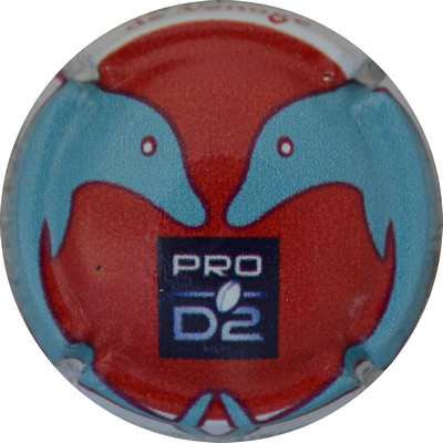 N°251 CSBJ Pro D2
Photo Jacques GOURAUD
