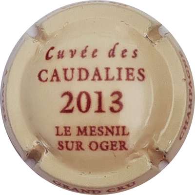 N°25e Cuvée Caudalies 2013, le Mesnil
Photo Christophe LELU
