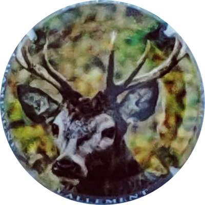 N°26 Cerf
Photo Christophe LELU
