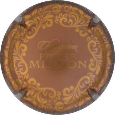 N°278e Marron et or
Photo Jacques GOURAUD
