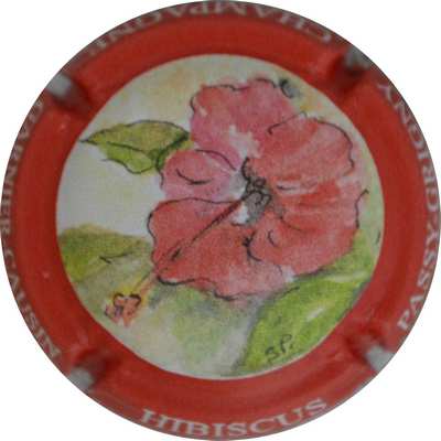 N°35a Hibiscus
Photo Jacques GOURAUD
