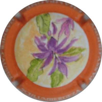 N°35b Schlubergeza
Photo Jacques GOURAUD
