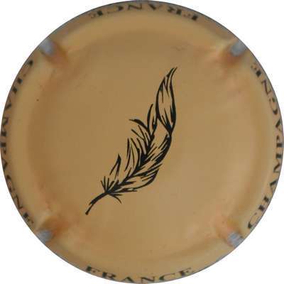 N°42 Orange pâle et noir, plume
Photo Jacques GOURAUD
