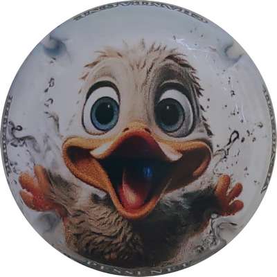 N°79 Canard
Photo Christophe LELU
