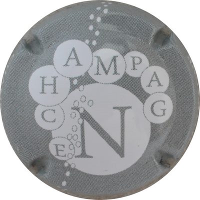 N°0874g 8 sur 9 N de champagne, gris et blanc
Photo GOURAUD Jacques
