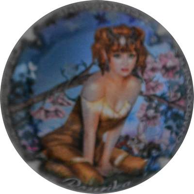N°90e Polychrome
Photo Jacques GOURAUD
