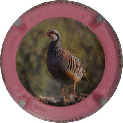 C127c Perdrix
Photo Jacques GOURAUD
