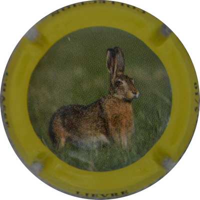 N°127d Lievre
Photo Jacques GOURAUD
