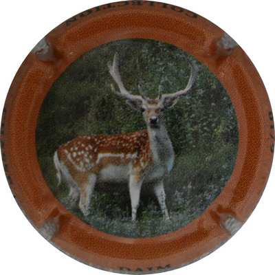 N°127e Dain
Photo Jacques GOURAUD
