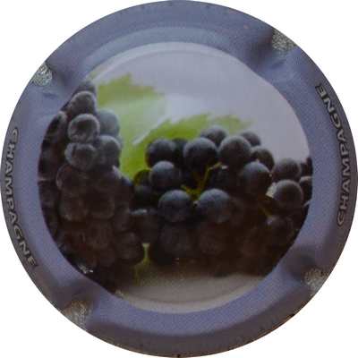 C54 Série de 18 caps, RAISINS
Photo GOURAUD Jacques
