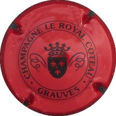 N°05a Rouge et noir, petit cercle, grand écusson noir
Photo BENEZETH Louis
Mots-clés: NR