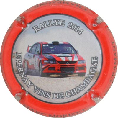 N°15 Rallye 2014, Personnalisée MORIZET MARC
Photo GOURAUD Jacques
