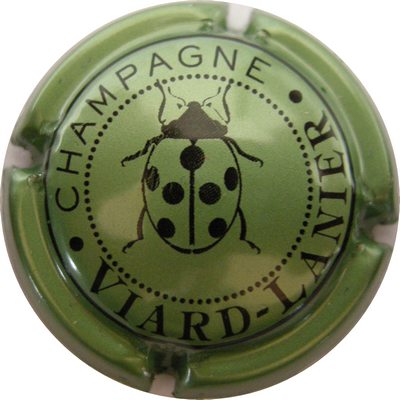 N°10 Vert métallisé
Photo GAXATE Bernard
