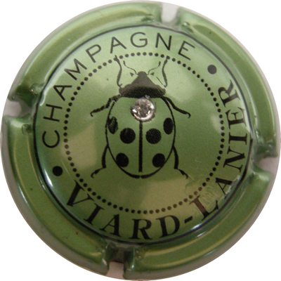 N°10a Vert métallisé, avec strass
Photo GAXATE Bernard
