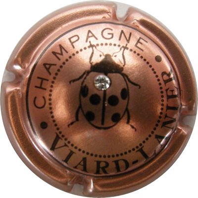 N°11a Rosé, avec strass
Photo GAXATE Bernard
