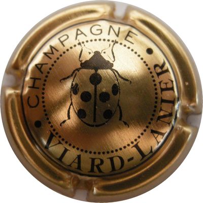 N°12 Or
Photo GAXATE Bernard
