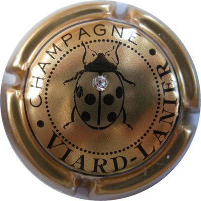 N°12a Or, avec strass
Photo GAXATE Bernard
