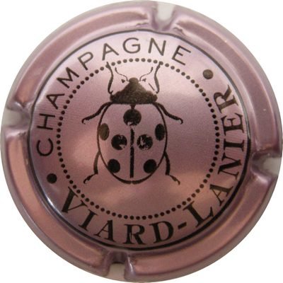 N°13 Rosé-violacé
Photo GAXATE Bernard
