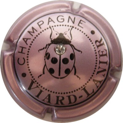 N°13a Rosé-violacé, avec strass
Photo GAXATE Bernard
