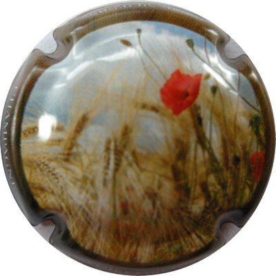 Série de 6 champs
Photo GAXATTE Bernard
